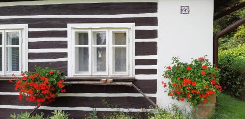 Adrspach Bed & Breakfast | Chalupa U Studánky