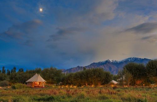 She Hotel | Chamba Camp Thiksey