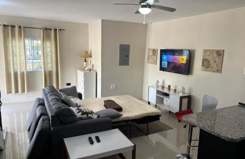 Mandeville Apartment | Chambers resident suite