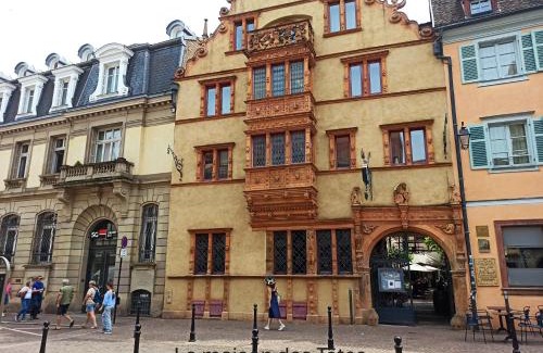 Colmar Centre Ville Hotel | Chambre - Centre historique - Equipée - Salle d'eau et WC privés
