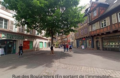 Colmar Centre Ville Hotel | Chambre - Centre historique - Equipée - Salle d'eau et WC privés