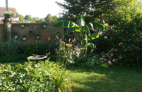 La Guerche-sur-l'Aubois Bed & Breakfast | Chambre d'hôtes iaorana