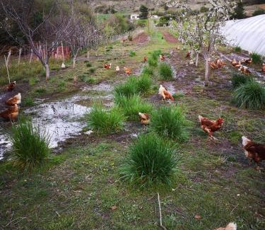 Banon House | Chambre d'hôte dans ferme provençale