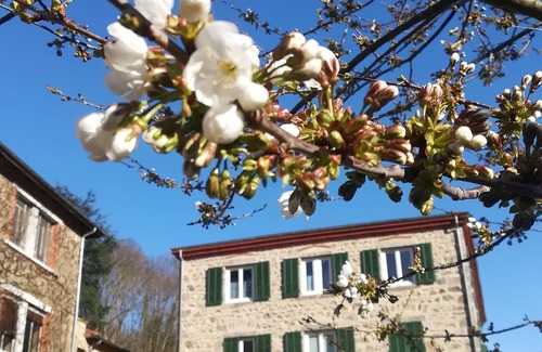 Bourg-Argental Bed & Breakfast | Chambre de Charme Dans une Belle Bâtisse Datant de 1885