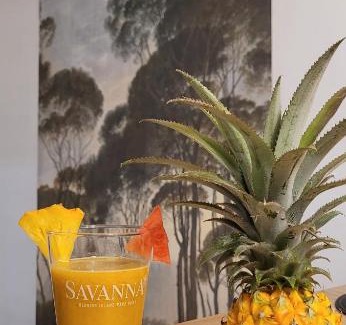 Sainte-Clotilde House | Chambre proche aéroport vue océan