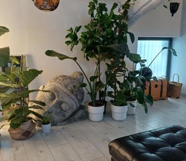 Saint Michel d'Euzet House | Chambres d'Hôtes & Spa privatif - Le Loft Gard