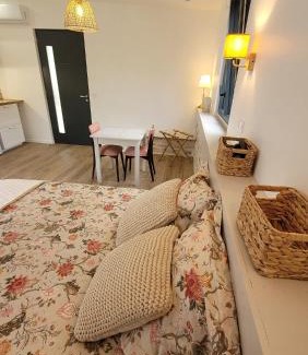 Cahors Apartment | Chambres d'hôtes - Studio La Pause Cadurcienne