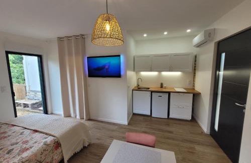 Cahors Apartment | Chambres d'hôtes - Studio La Pause Cadurcienne