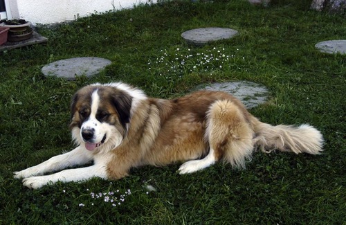 Nistos House | Chambres D'Hotes au Vieux Logis