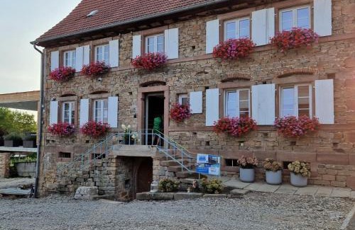 Preuschdorf House | chambres d'hotes chez Linda Stéphane le passé composé
