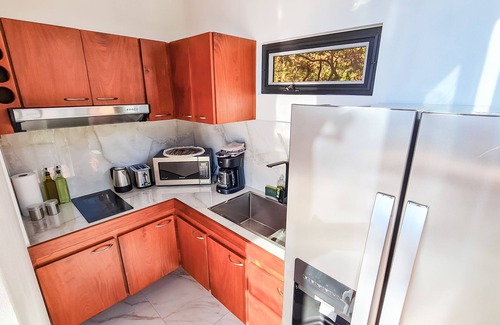 Monteverde Apartment | chameleon suite Monteverde Puntarenas, panoramic views.
