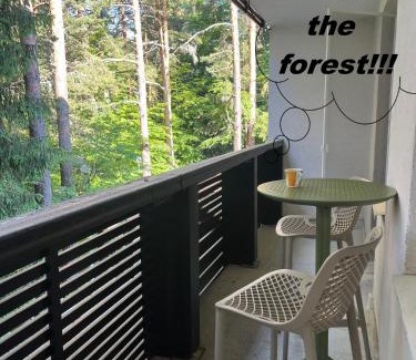 Samokov Apartment | Chamkoria Forest View & Spa Apartment