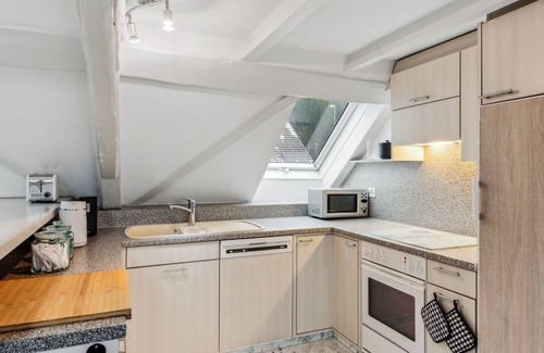Dietikon District Apartment | Charm and Comfort: Our Cozy Apt in Dietikon