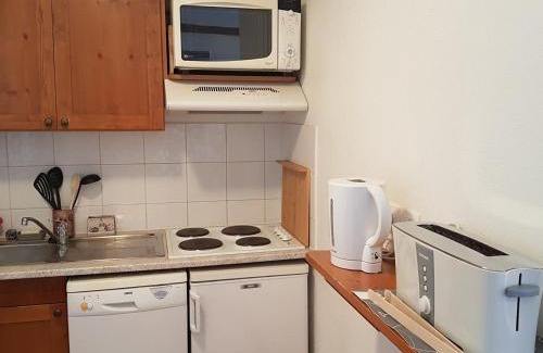 Valloire Apartment | Charmant 3 pièces pour 6 pers. avec piscine, balcon, parking souterrain et accès pistes à Valloire - FR-1-263-490