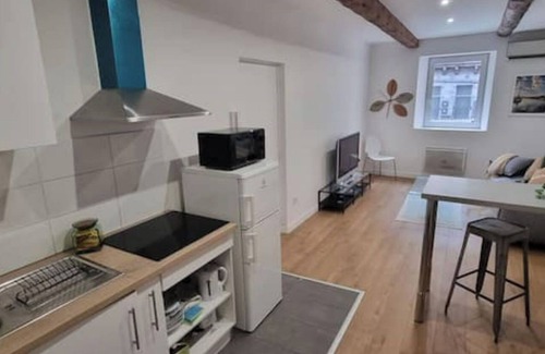 Les Borels Apartment | Charmant Duplex a la Préfecture
