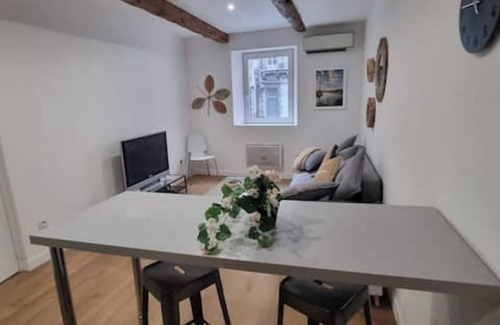 Les Borels Apartment | Charmant Duplex a la Préfecture
