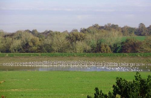 Vaire House | Charmant Gîte Rénové avec Jardin Privé, Cheminée et WiFi à Vairé, Vendée - FR-1-426-411