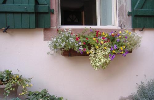 Bouxwiller Apartment | charmant petit appartement en Alsace