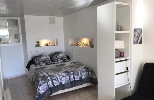 Montignac-Charente Apartment | Charmant Studio meublé