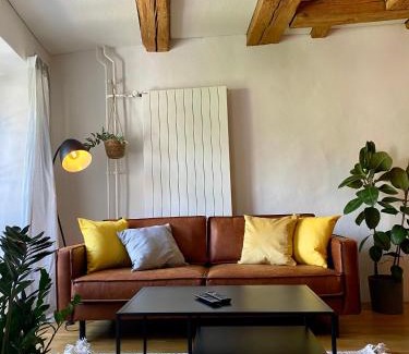 Solothurn Apartment | Charmante Altstadtwohnung 3 OG