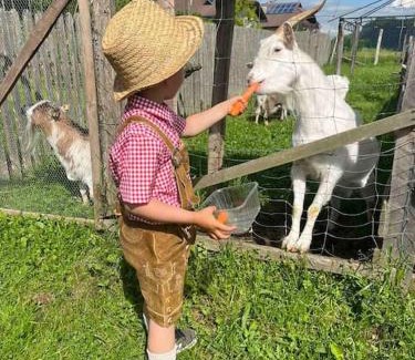 Keutschach am See House | Charmantes Ferienhaus in bester Lage