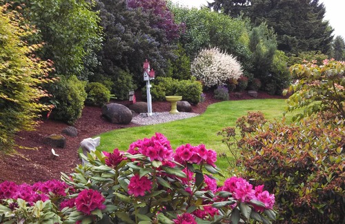 Hillendale Cottage | Charming 1-bedroom cottage in Oregon City