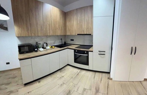 Timisoara Apartment | Charming 2-bedroom apartment in Timișoara with AC