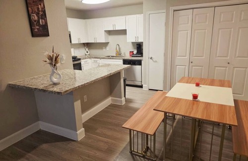 Astrodome Apartment | Charming 3Bed 2Bath apt in front of NRG & near TMC