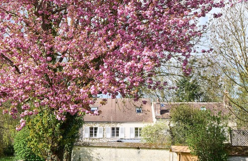 Montigny-sur-Loing House | Charming and bright house 10min walk from the river and forest!