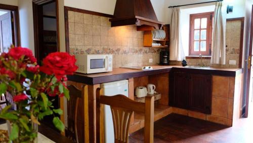 Los Silos Apartment | Charming apartment in Santa Cruz, 70 m² with terrace