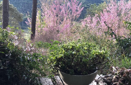 Sao Bento do Sapucai Cabin | Charming cottage in the Serra da Mantiqueira - Altiplano do Baú