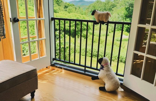 Greenfield Cabin | Charming cabin in delightful Greenfield New Hampshire with WiFi access