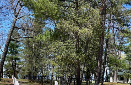 Rapid City Cabin | Charming cabin with lake access and kayaks! Boat slip included - see details