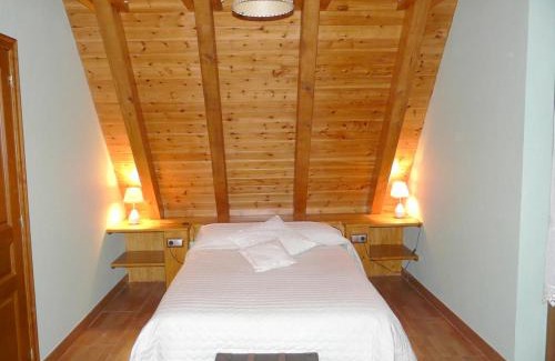 Vielha e Mijaran Ski Chalet | Charming Chalet in Viella, Mountain View