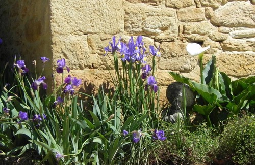 Calviac-en-Perigord Cottage | Charming countryside house with garage and bikes, near Dordogne and tourist sites
