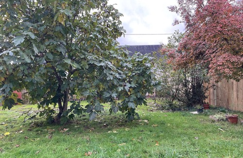 Chahaignes Cottage | Charming Cottage Near Loire Castles, Private Garden, Parking, WiFi, Ideal for Families