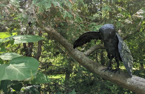 Harwich Cottage | Charming Cottage on Meadowcroft Estate - A Birders Paradise Nestled in the Woods