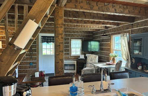 Canon City Cabin | Charming Creekside Cabin next to 4 Mile Creek with mountain views. Dog friendly!