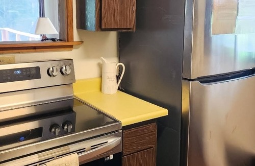 Roslyn Ridge Cabin | Charming dog-friendly cabin with firepit, balcony, grill, & W/D