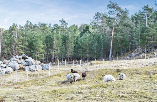 Hardangerfjord House | Charming historic house in the idyll of Hardangerfjord.