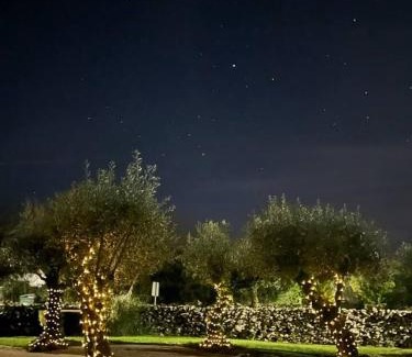 Porto de Mos House | Charming House with Private Pool in Porto de Mós