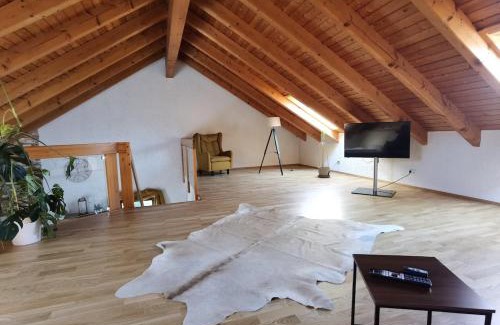 Scheuring Apartment | Charming loft apartment with fireplace