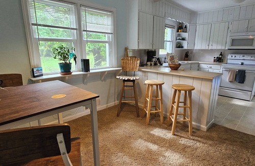 Blacksburg House | Charming, pet friendly 4-bedroom house, close to VT and downtown Blacksburg.