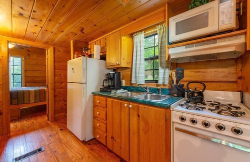 Candler Cabin | Charming Smokey Mountain Cabin at Engadine with Blue Ridge Vistas!