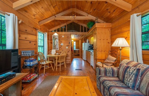 Candler Cabin | Charming Smokey Mountain Cabin at Engadine with Blue Ridge Vistas!