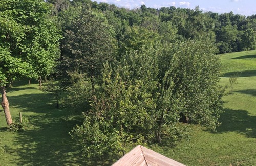 Union Apartment | Charming studio apartment 30 min from the Ark Encounter