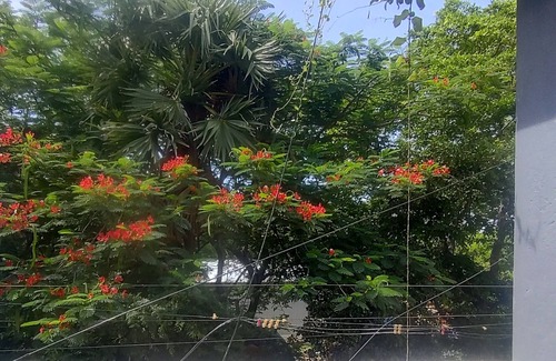 Tiruvannamalai Apartment | Charming studio in welcoming Tiruvannamalai with WiFi