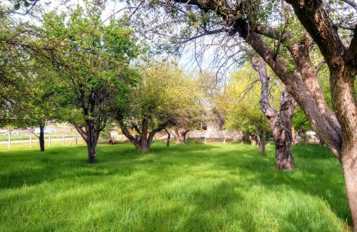 Tropic House | Charming Tropic Home by a Farm Near Bryce Canyon!