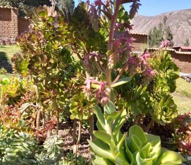 Urubamba Ski Chalet | Charming Urubamba Cusco house - Kapuliyuq