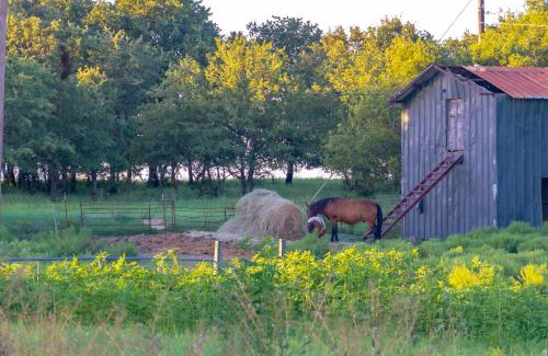 Nocona House | Charmingrusticcabinfarmpet Friendlyaffordable